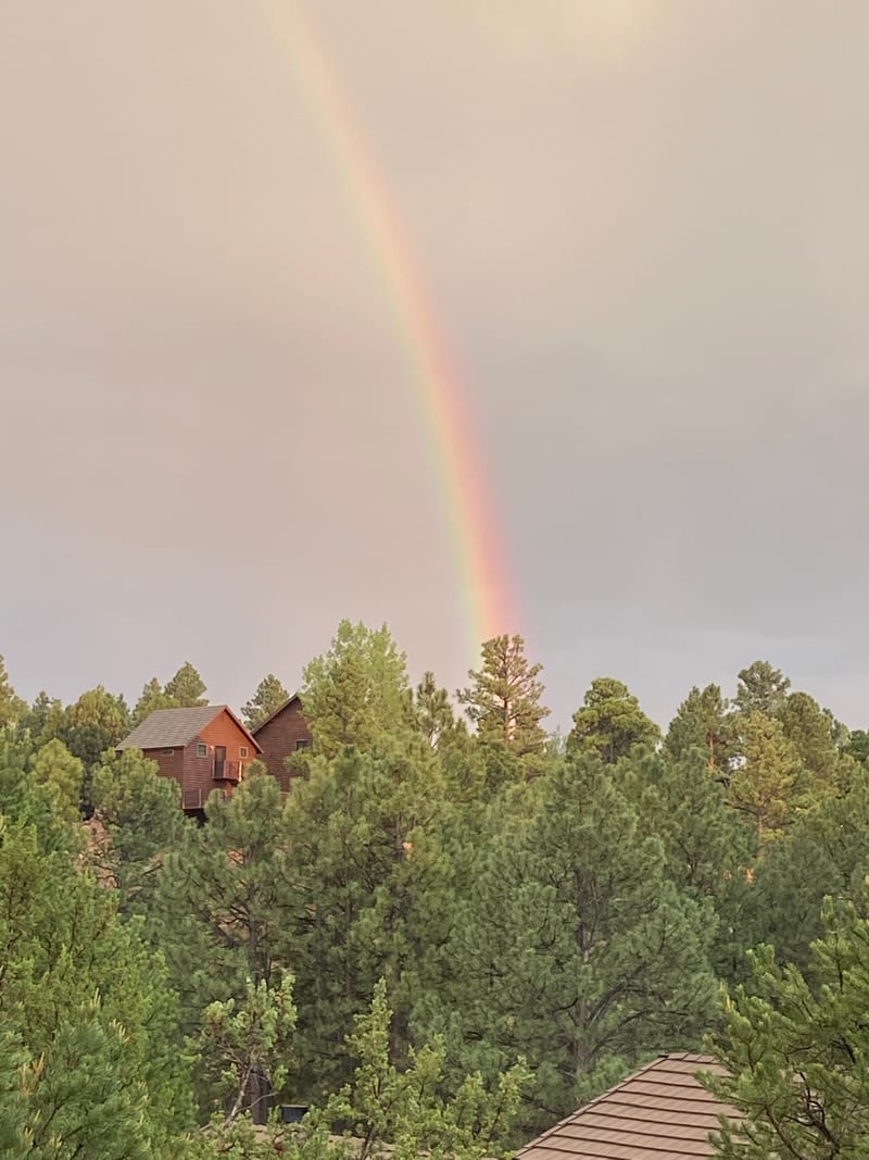 A rainbow above pine trees and cabins in the mountain community