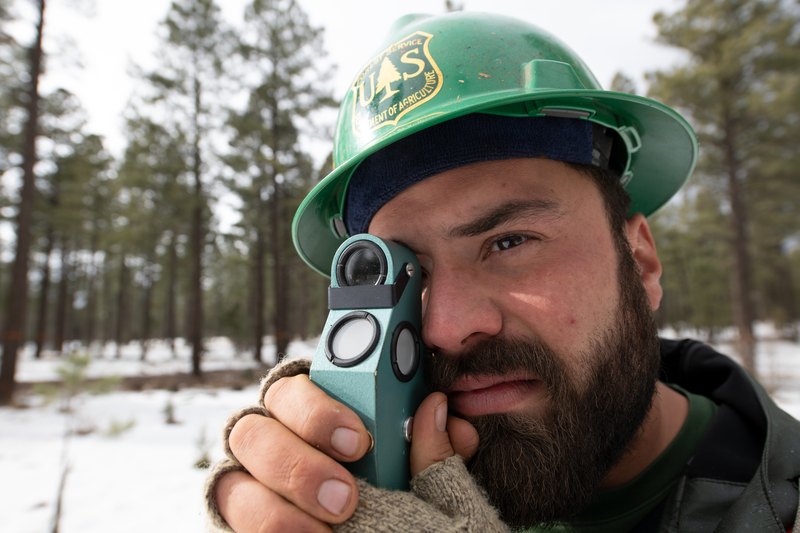A forestry worker in a green hard hat holds a measuring instrument to his eye in a snowy pine forest
